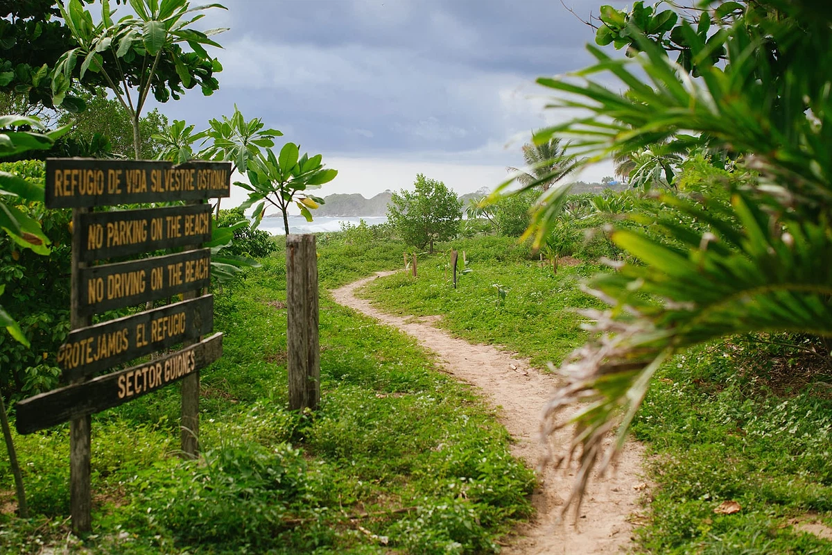 Photo of silvestre nosara costa rica