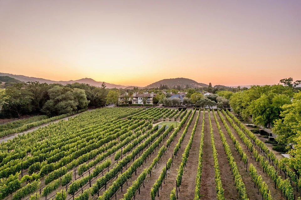 Photo of estate yountville