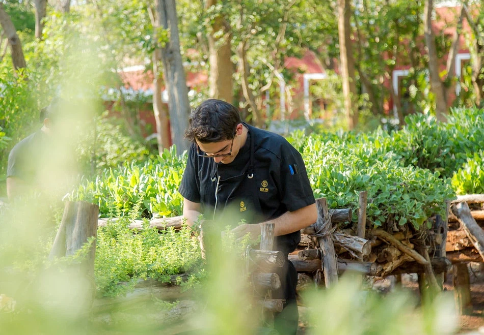 Photo of chablé yucatán